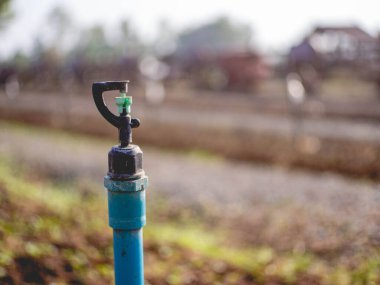 Su püskürtücü ve sebze tarlası.