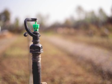 Su püskürtücü ve sebze tarlası.