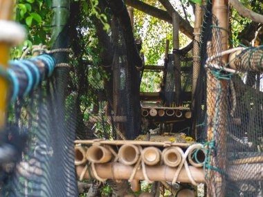 Nehri geçen bir bambu köprüsü..