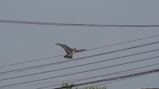 風に対して飛ぶ鳥型の紙凧 — ストック動画