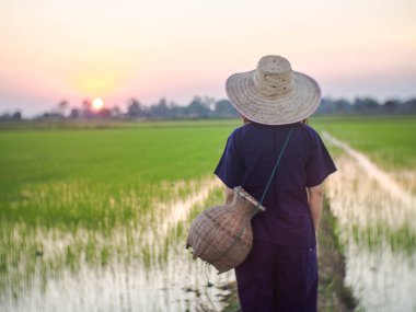 Geleneksel Tayland kostümü giyen genç çiftçi