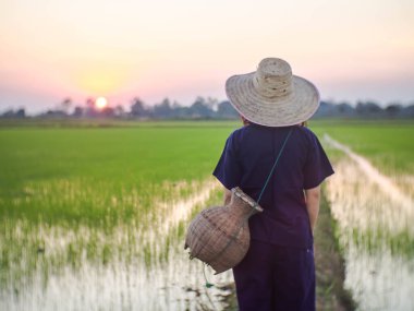 Geleneksel Tayland kostümü giyen genç çiftçi