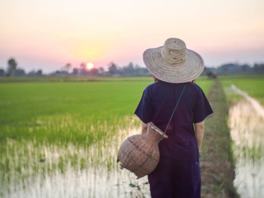 Geleneksel Tayland kostümü giyen genç çiftçi