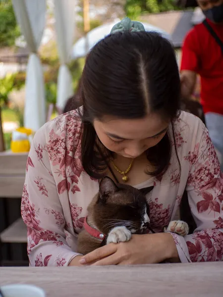 Uma Mulher Vestindo Vestido Vermelho Está Brincando Com Gato Marrom — Fotografia de Stock