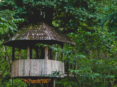 Tarzan Hous adında bir ağaç ev.