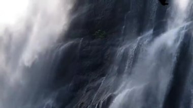 Mae Wong Ulusal Parkı 'ndaki orman ve dağ ya da Chong Yen, Kamphaeng Phet Eyaleti, Tayland