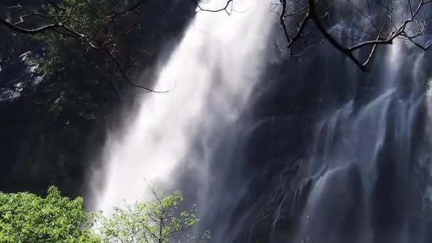 Bosque Montaña Parque Nacional Mae Wong Chong Yen Provincia Kamphaeng — Vídeo de stock