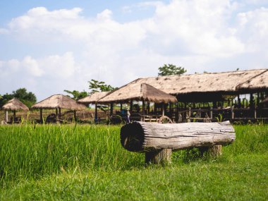 Tarlaları ve otlakları olan keresteler