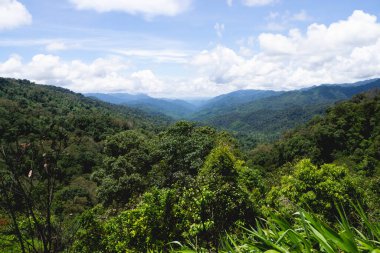Mae Wong Ulusal Parkı 'ndaki orman ve dağ ya da Chong Yen, Kamphaeng Phet Eyaleti, Tayland