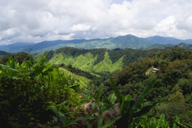 Mae Wong Ulusal Parkı 'ndaki orman ve dağ ya da Chong Yen, Kamphaeng Phet Eyaleti, Tayland