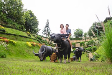 Bufalo heykeli olan adam.