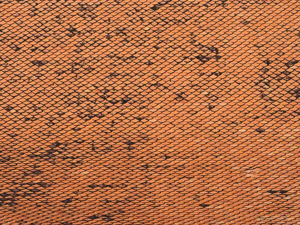 Фон Старой Апельсиновой Плитки — стоковое фото