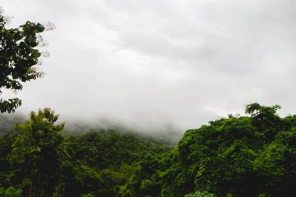 Mlha Vznáší Nad Horami — Stock fotografie