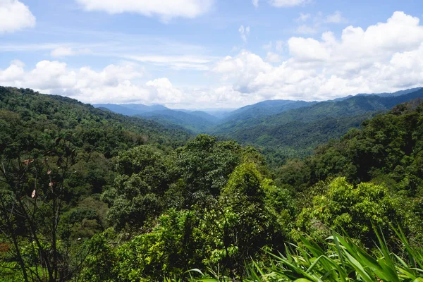 Bos Berg Het Mae Wong National Park Chong Yen Provincie — Stockfoto