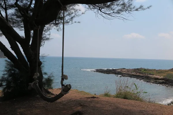 Ein Baum Und Das Meer — Stockfoto