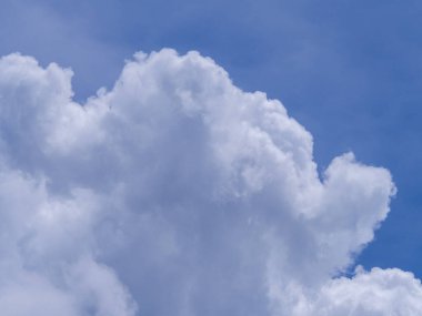 Background is sky and cloud