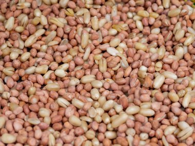 Background is lots of nuts 