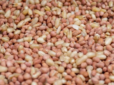 Background is lots of nuts 