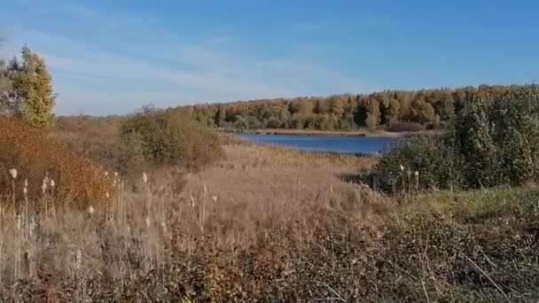 Jesienny Krajobraz Idealny Twoich Projektów — Wideo stockowe