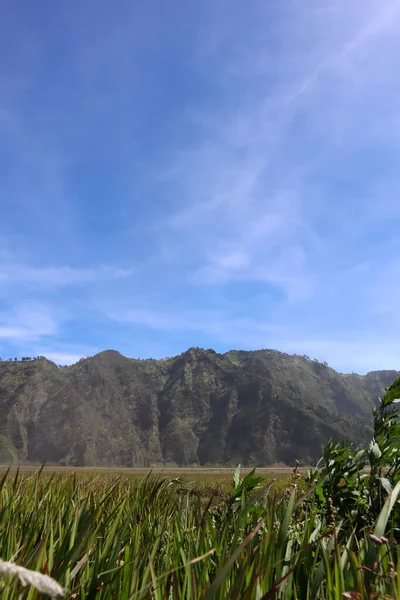 Αρκετά Grass Και Sturdy Hills Στο Bromo Κατά Διάρκεια Της — Φωτογραφία Αρχείου