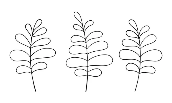 Illustrazione botanica vettoriale fogliare. Green Forest Clipart. Moderno minimalismo elementi neutri design. — Vettoriale Stock