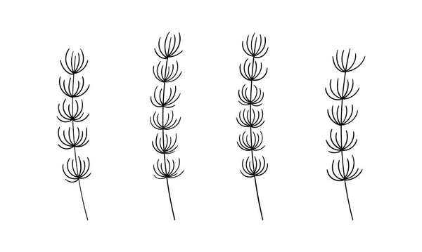 Botanische illustratie van dennenblad vector. Kerst bos groen clipart. Modern minimalisme neutrale elementen ontwerp. — Stockvector