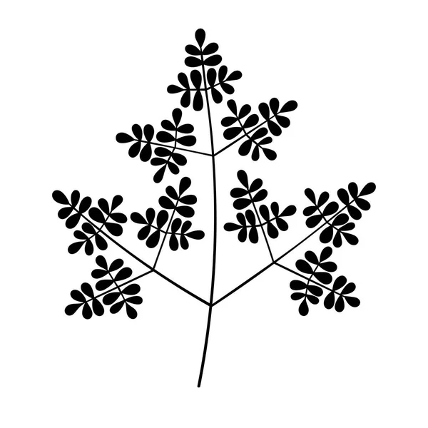 파인 잎 벡터 식물학적 예시. 식물의 잎은 녹색을 띤다. 크리스마스 숲의 푸른 잎 조각. — 스톡 벡터
