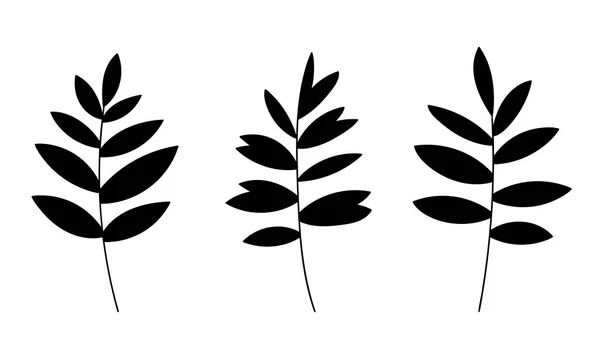 Ilustración botánica de vectores de hojas. Línea follaje Boho art. Navidad bosque verde clipart. — Vector de stock