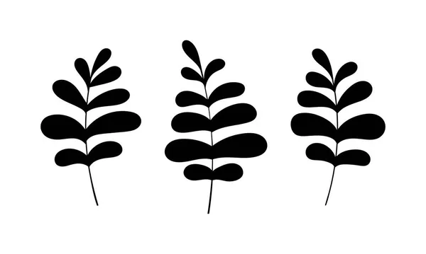 Ilustración botánica de vectores de hojas. Línea follaje Boho art. Navidad bosque verde clipart. — Archivo Imágenes Vectoriales