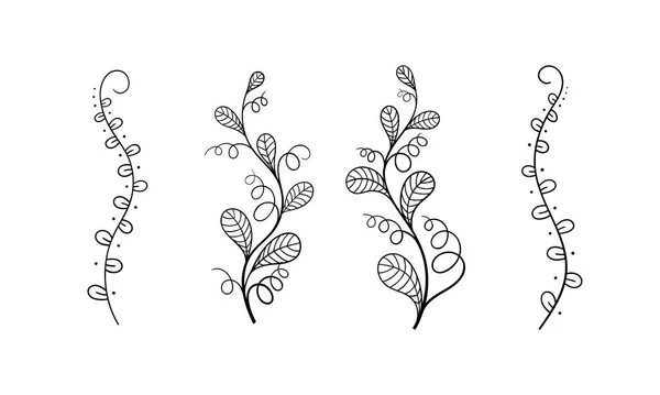 豌豆线形矢量植物图解.Bindweed手绘草图集。花园绿地 — 图库矢量图片
