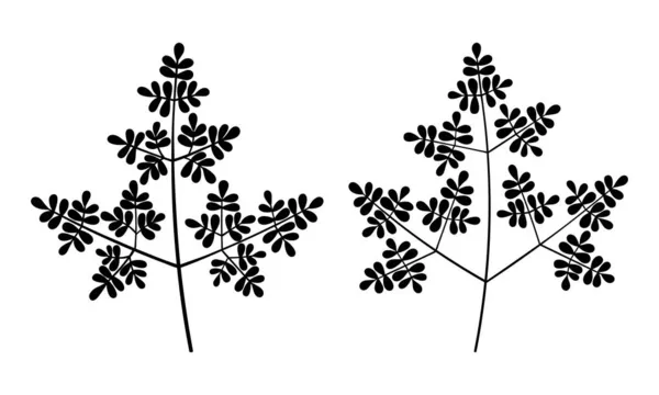 Kerst boom vector botanische illustratie. Foliage lijn kunst. Kerstbos groen clipart. — Stockvector