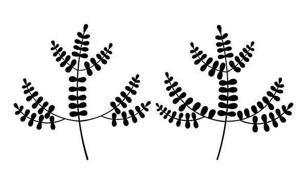 Illustration botanique vectorielle de feuilles de pin. Feuillage boho lineart. Forêt de Noël verdure clipart. — Image vectorielle