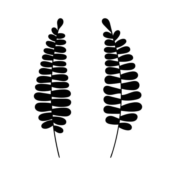 Feuilles vecteur linéaire illustration botanique. Clipart de feuille et fleur dessiné à la main. Fond de verdure forestière — Image vectorielle