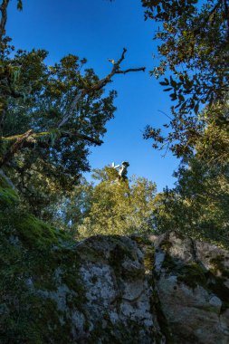Monte Ortobene, provincia di Nuoro, Sardegna