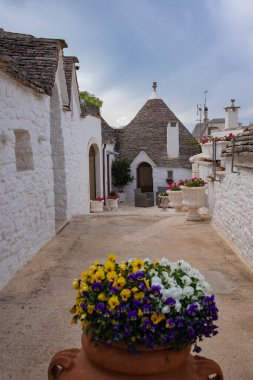 Scorci di Alberobello, citt metropolitana di Bari, Puglia