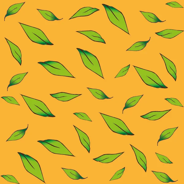 Leaves Isolated Background — Stock Photo, Image