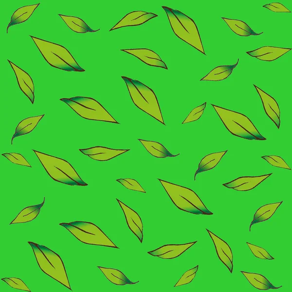 Leaves Isolated Background — Stock Photo, Image