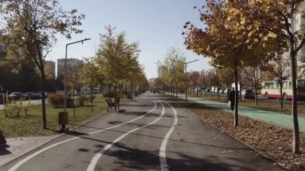 Una Vista Superior Del Callejón Con Una Cinta Correr — Vídeo de stock