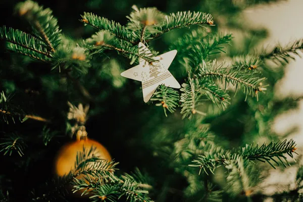 çizim fırçası olan kırmızı arkaplan 