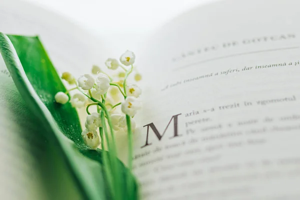 Vadinin zambak buketi - bahar çiçekleri 