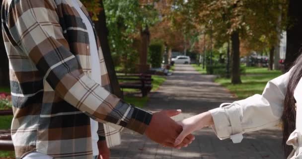 Nahaufnahme menschlicher Hände. Zwei nicht wiederzuerkennende Menschen, die einander die Hand schütteln, um Partnerschaft und Teamwork zu feiern, stehen auf einem Fußweg durch einen schönen grünen Stadtpark. — Stockvideo