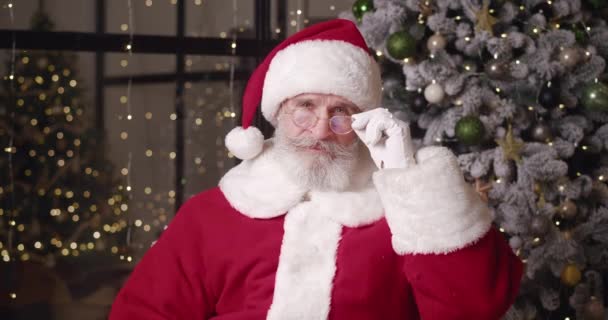 Santa Claus de buen carácter en su residencia sobre el fondo de un hermoso árbol de Navidad, poniendo su dedo índice en sus labios y sonríe con alegre sonrisa dentada mirando a la cámara — Vídeo de stock