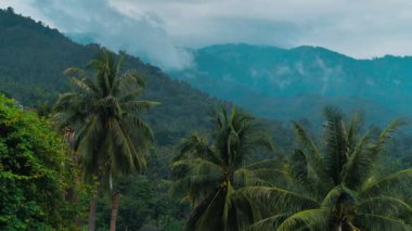 Bulutlu tropik yağmur ormanları zaman atlamasında hareket eder. Tayland, Ko Samui 'deki adanın tropik bölgelerindeki dağlara yağmur bulutları yağıyor. Zaman aşımı 4K. Yeşil manzara.