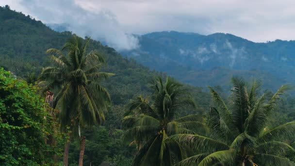 Τροπικό τροπικό δάσος ζούγκλα με σύννεφα κινούνται στο χρόνο lapse. Σύννεφα βροχής στα βουνά στις τροπικές περιοχές του νησιού στο Κο Σαμούι της Ταϊλάνδης. Timelapse 4K. Πράσινο τοπίο. — Αρχείο Βίντεο