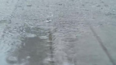 Big Rain Water Droplets Splash on Wet Asphalt in Slow motion. Rainy weather