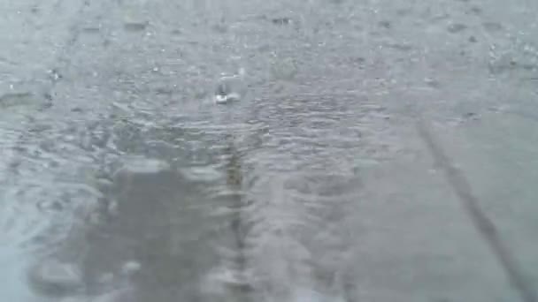 Big Rain Water Droplets Splash on Wet Asphalt in Slow motion. Rainy weather — Vídeos de Stock