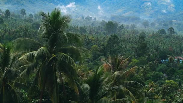 Τροπικό τροπικό δάσος ζούγκλα με σύννεφα κινούνται στο χρόνο lapse. Σύννεφα βροχής στα βουνά στις τροπικές περιοχές του νησιού στο Κο Σαμούι της Ταϊλάνδης. Timelapse 4K. Πράσινο τοπίο. — Αρχείο Βίντεο