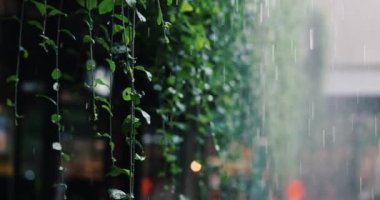 Şehir avlusunda, fenerlerle aydınlatılan alışveriş caddesinin zeminine dallardan şiddetli yağmura bakın.