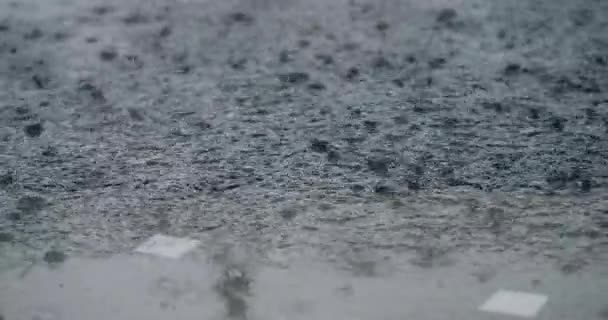 Fuertes Lluvias Lluvia Torrencial Gota Lluvia Cayendo Temporada Lluvias Lluvioso — Vídeos de Stock