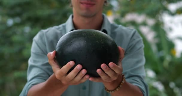 Selektiver Fokus Auf Frische Reife Bio Wassermelone Den Händen Eines — Stockvideo